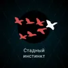 Стадный инстинкт Стадный инстинкт