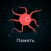 Память Память