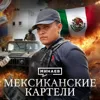 Мексиканские картели / Криминальная история Мексики / Уроки истории / МИНАЕВ Мексиканские картели / Криминальная история Мексики / Уроки истории / МИНАЕВ