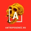 Новый вид человека | Шимпанзе против горилл | Соколов и Дробышевский - Новости АНТРОПОГЕНЕЗ.РУ