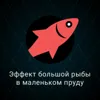 14. Эффект большой рыбы в маленьком пруду 14. Эффект большой рыбы в маленьком пруду