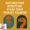 S2E8: Бессмертное животное и как змея нюхает языком S2E8: Бессмертное животное и как змея нюхает языком