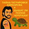 S2E14: Загадочная татуировка Киркорова и дышат ли попой черепахи? S2E14: Загадочная татуировка Киркорова и дышат ли попой черепахи?