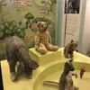 Почему плюшевый мишка, а не зайчик, стал королём игрушек Почему плюшевый мишка, а не зайчик, стал королём игрушек