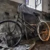 Эффект велосипедного сарая Эффект велосипедного сарая