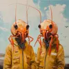Креветки и инноваторы Креветки и инноваторы