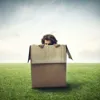Что проживает на дне зоны дискомфорта? Что проживает на дне зоны дискомфорта?