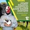 Акции языком, понятным даже вашей бабушке Акции языком, понятным даже вашей бабушке