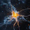 Невидимая ловушка бинарного мышления Невидимая ловушка бинарного мышления