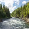 Мы знаем круговорот воды. Почему неизвестны другие круговороты? Мы знаем круговорот воды. Почему неизвестны другие круговороты?
