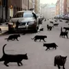 Учимся создавать суеверия Учимся создавать суеверия