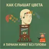 S3E16: Как слышат цвета, а таракан живет без головы S3E16: Как слышат цвета, а таракан живет без головы