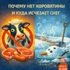 S3E8: Почему нет коровятины и куда исчезает снег S3E8: Почему нет коровятины и куда исчезает снег