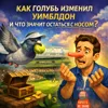 S315: Как голубь изменил Уимблдон и что значит остаться с носом S315: Как голубь изменил Уимблдон и что значит остаться с носом