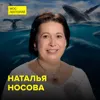 Тайны китов: от песен до семьи - научный сотрудник Дарвиновского музея Наталья Носова Тайны китов: от песен до семьи - научный сотрудник Дарвиновского музея Наталья Носова