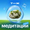 Заземлиться и земедлиться Заземлиться и земедлиться