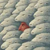 Стадное чувство или личный опыт: какая кнопка твоего мозга сработает первым Стадное чувство или личный опыт: какая кнопка твоего мозга сработает первым