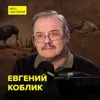 Как развит интеллект у птиц? - орнитолог Евгений Коблик Как развит интеллект у птиц? - орнитолог Евгений Коблик