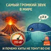 S3E5: Самый громкий звук в мире и почему киты не тонут во сне S3E5: Самый громкий звук в мире и почему киты не тонут во сне