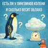 S3E10: Есть ли у пингвинов колени и сколько весит облако S3E10: Есть ли у пингвинов колени и сколько весит облако