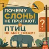 S4E2: Почему слоны не прыгают, а птиц не бьёт током? S4E2: Почему слоны не прыгают, а птиц не бьёт током?