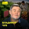Тысячи лет селекции: от несъедобного к сладкому - доктор биологических наук Владимир Чуб Тысячи лет селекции: от несъедобного к сладкому - доктор биологических наук Владимир Чуб