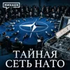 Операция Гладио: Как секретная сеть НАТО и ЦРУ держала в страхе всю Европу / Уроки истории / МИНАЕВ Операция Гладио: Как секретная сеть НАТО и ЦРУ держала в страхе всю Европу / Уроки истории / МИНАЕВ