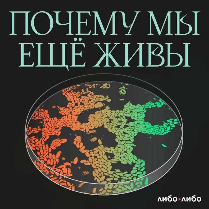 Почему мы еще живы Почему мы еще живы